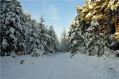 《消逝的光芒2》开发者解释为何延期 新抓钩将截然不同